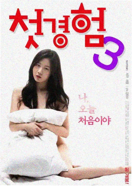 韩国免费电视剧首尔夜未眠封面